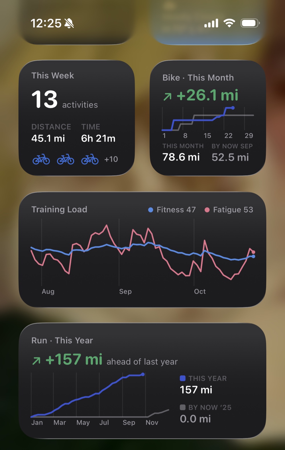 PaceVault widgets: This Week, Bike this month, Training Load and Run this year